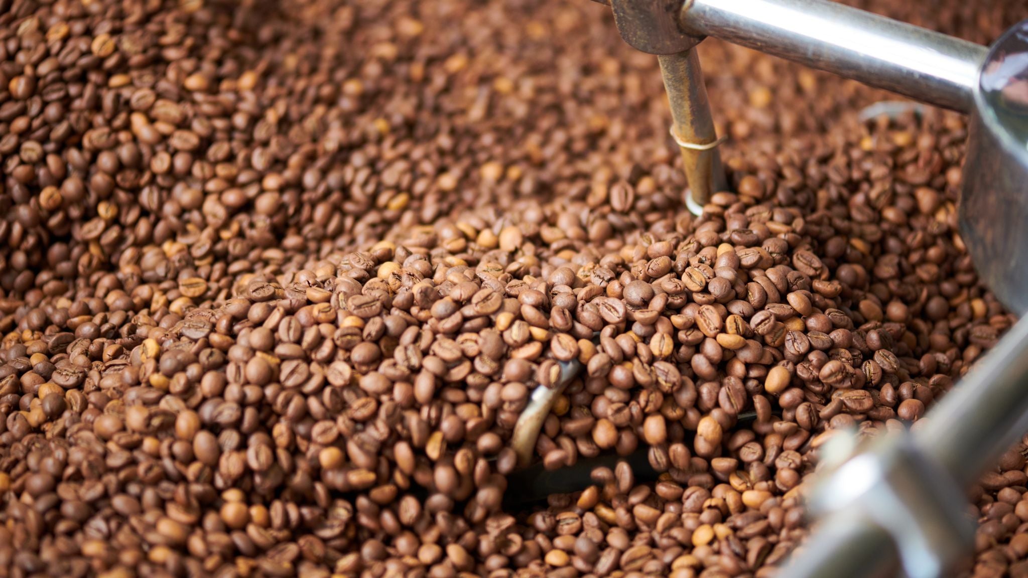 Le nostre migliori miscele per moka, espresso e macchine automatiche