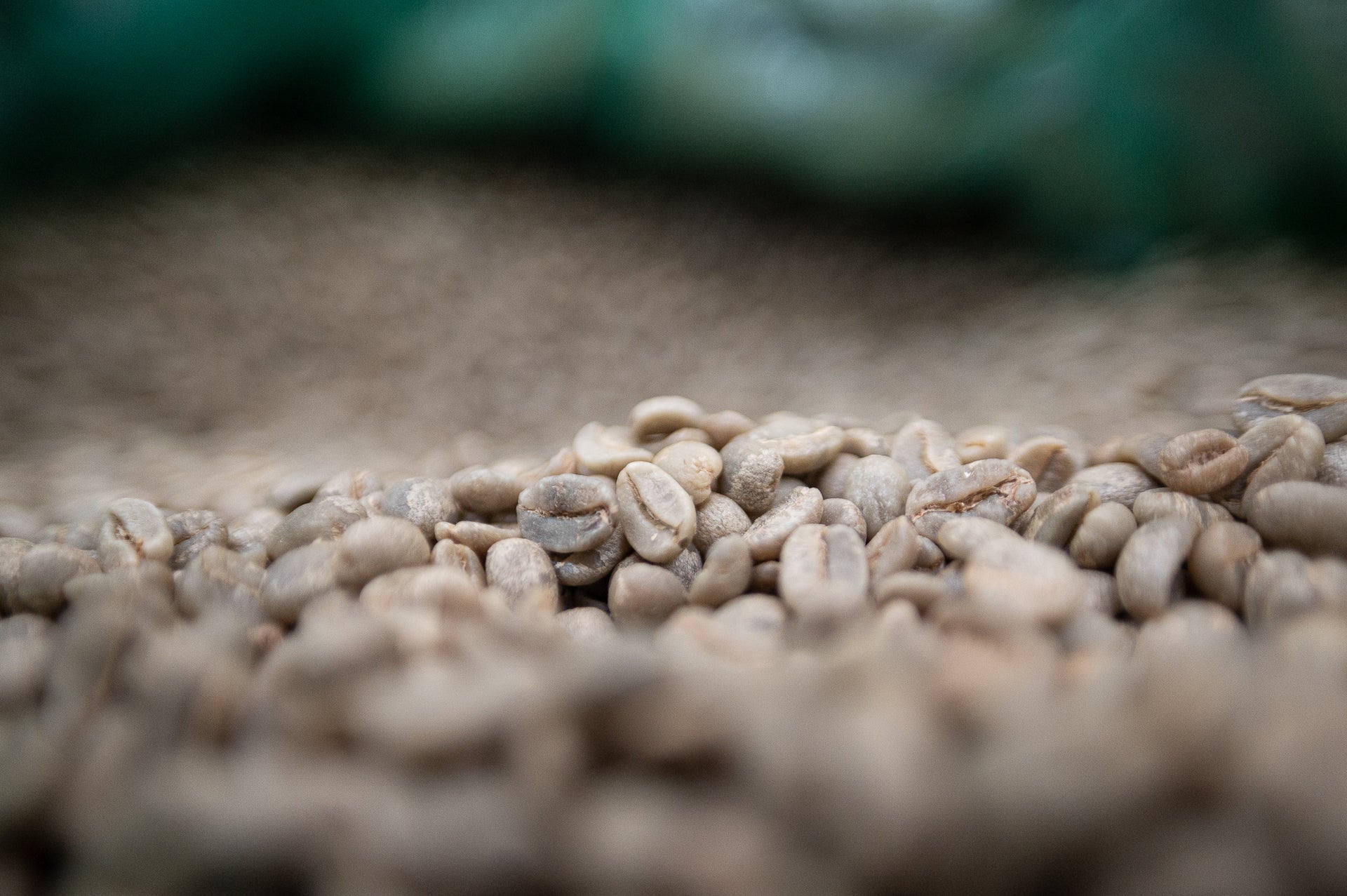 SPECIALTY COFFEE