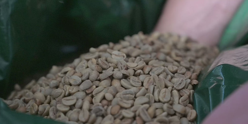 Video del processo di produzione del caffè artigianale TAMA: selezione delle origini, tostatura e preparazione dell'espresso.